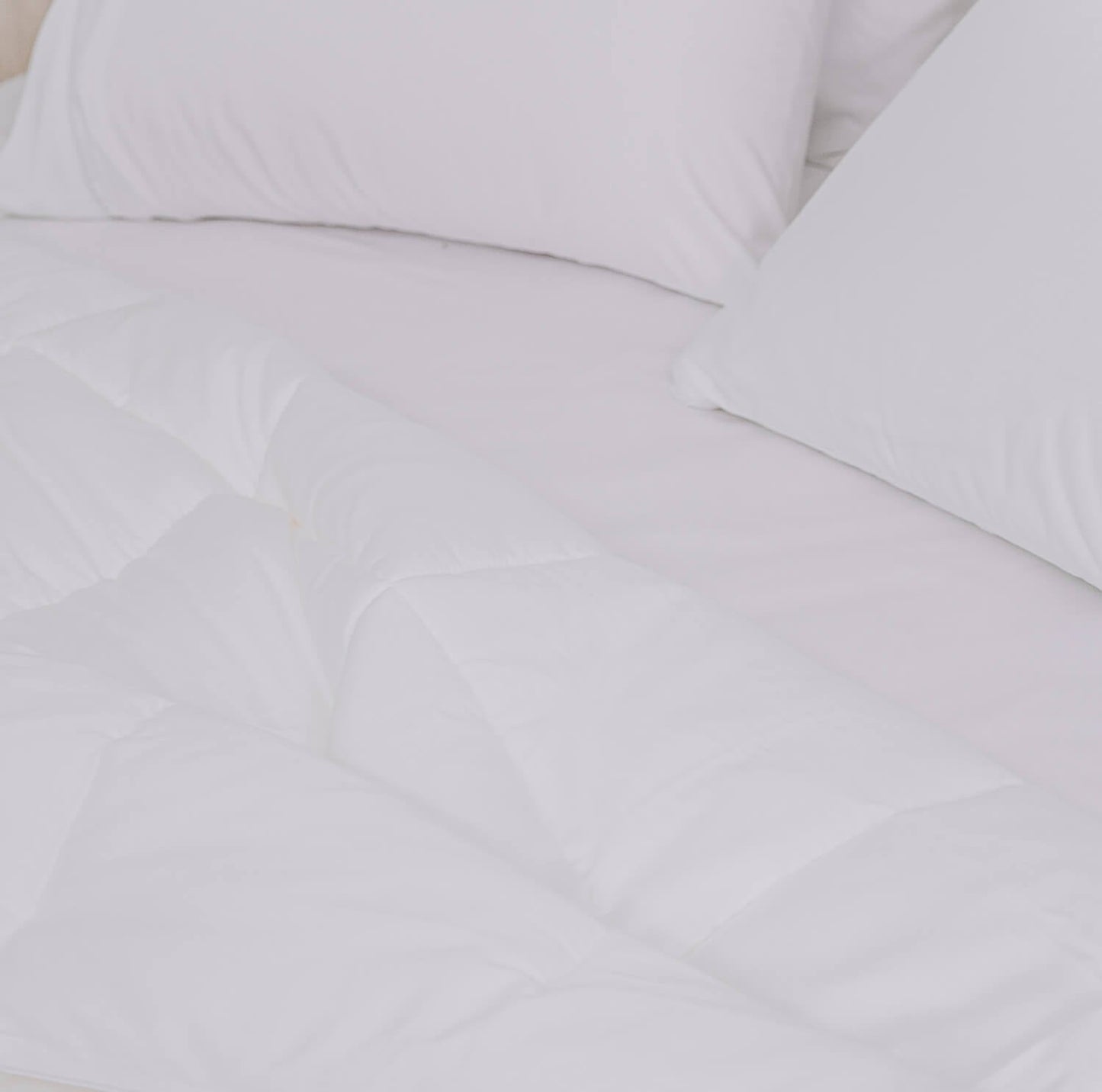 Ecorenew Ingeo Quilt by Bambi