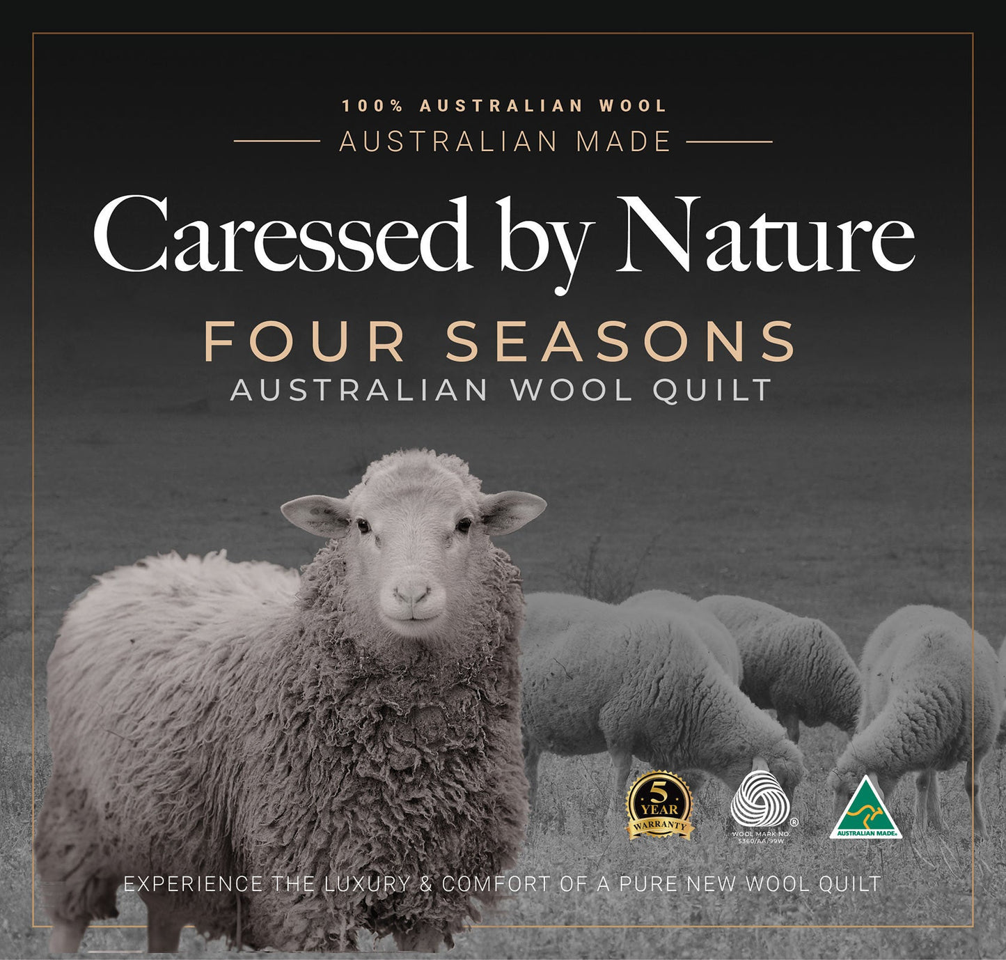 All Seasons 100% Wool Quilt 200-350gsm by Caressed by Nature